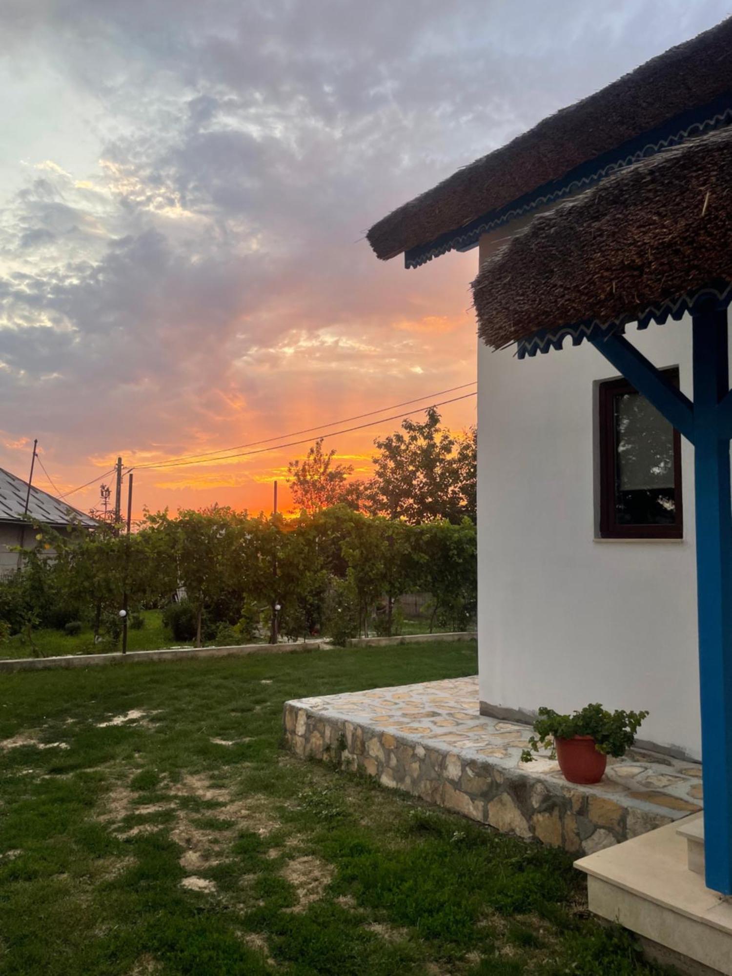 Casa Enisala Guest House Екстериор снимка