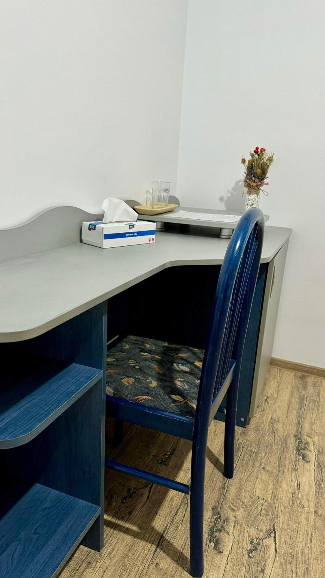 Casa Enisala Guest House Екстериор снимка